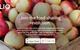Olio helps to reduce food waste