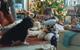 The Boots Christmas advert features real families to strike a truthful tone